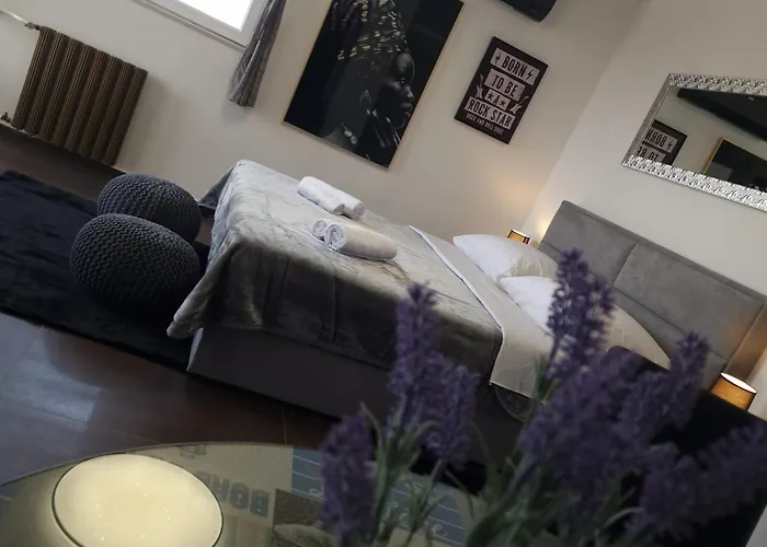 아파트 41 자다르